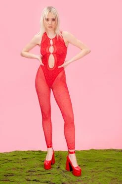 Bloodlust Mesh Cutout Catsuit -Badinka IMG 7971