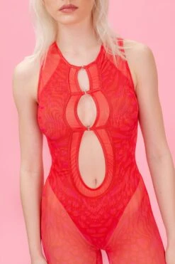 Bloodlust Mesh Cutout Catsuit -Badinka IMG 7977